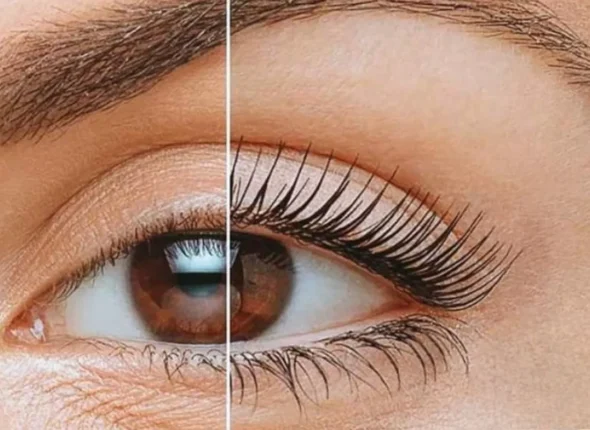 Rehaussement du cils et Tenture